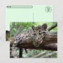 Recherche de nuageux cartes postales Photographie de la nature
