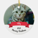Recherche de chat memorial ornements Animaux de compagnie