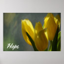 Zoek naar hoopvol posters Bloemen