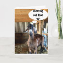 Recherche de chèvre mignonne vœux cartes Pour enfants