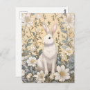 Recherche de lapin pastel cartes postales Pour elle