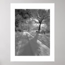 Zoek naar sneeuw posters Bomen