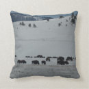 Recherche de nature faune coussins Neige