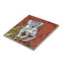 Recherche de fourrure carreaux Animaux