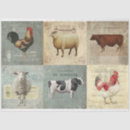 Recherche de collent Collage
