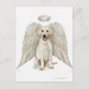 Recherche de dressing cartes postales Plan studio