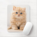 Recherche de british tapis souris Chat