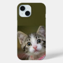 Recherche de chatons mignons iphone coques Animal