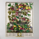Recherche de douze mois posters Fruit