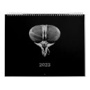 Zoek naar weken kalenders Insecten