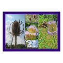 Zoek naar onkruid kunst Bloem