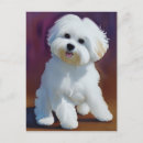 Recherche de bichon cartes postales Aquarelle
