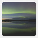 Recherche de arctic autocollants Bleu