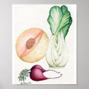 Recherche de radis art Fruit