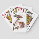 Recherche de proie jeux de cartes Faucon