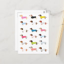 Recherche de dachsund cartes postales Dachshund