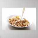 Recherche de fin gourmet posters Nutritionniste