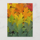 Recherche de vieillissement cartes postales Automne