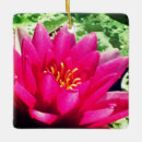 Recherche de nénuphar ornements Fleur