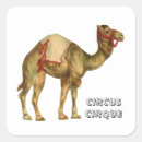 Zoek naar kamelen stickers Dier