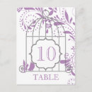 Recherche de violette africaine cartes postales Rose