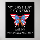 Zoek naar onafhankelijkheid posters Usa