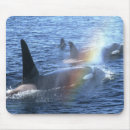 Recherche de orque tapis souris Océan