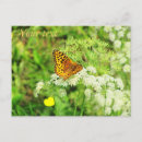 Recherche de papillons oranges cartes postales Vol