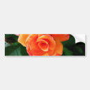 Recherche de fleur orange voiture autocollants Rose