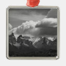 Recherche de fine art ornements Blanc