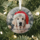 Recherche de golden retriever ornements Neige