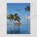 Recherche de les maldives cartes postales Palmiers