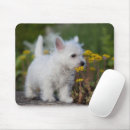 Recherche de westie tapis souris Animal