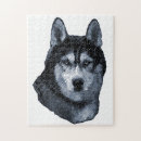 Recherche de chien de traîneau puzzles Malamute