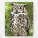 Recherche de hibou à cornes tapis souris Grand