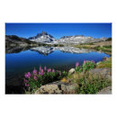 Recherche de mammouth art Photographie