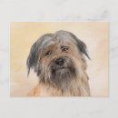 Recherche de petit berger cartes postales Pour tous