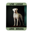 Recherche de boxeur magnets Animaux familiers