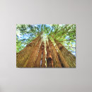 Recherche de arbres nature art Parc