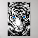 Recherche de tigre blanc posters Pour elle