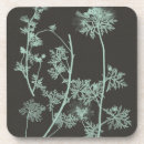 Recherche de verre nature de dessous de dessous de verres Botanique