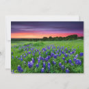 Recherche de bluebonnets vœux cartes Jardin