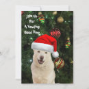 Recherche de dog noël invitations Chien