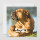 Zoek naar dagdromen kaarten Denken aan jou