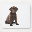 Recherche de chocolat tapis souris Animal