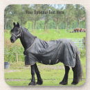 Recherche de chevaux bar Nature