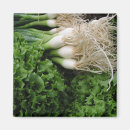 Recherche de oignon magnets Salade