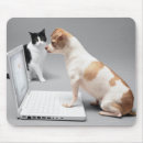 Recherche de humour de communication Horizontal