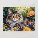 Recherche de chat super cartes postales Animal