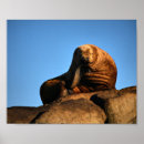 Zoek naar de denker posters Wild
